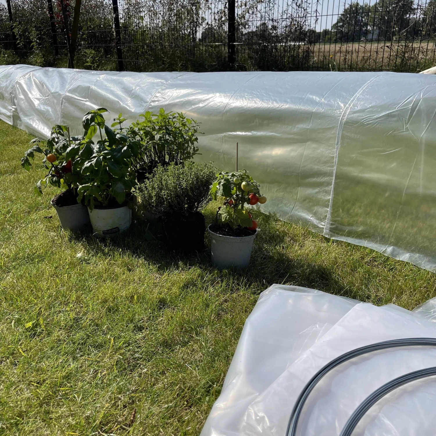 5 Tunnels De Forçage 3m² 5 5 Tunnels De Forçage 3m² – Image 5