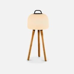 Lampe D'intérieur LED 3 En 1 Avec Trépied -Mobilier de maison LED313IN1WD 04