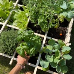 Carré Potager En Bois 90 X 90cm 10 Carré Potager En Bois 90 X 90cm -Mobilier de maison VG90 05