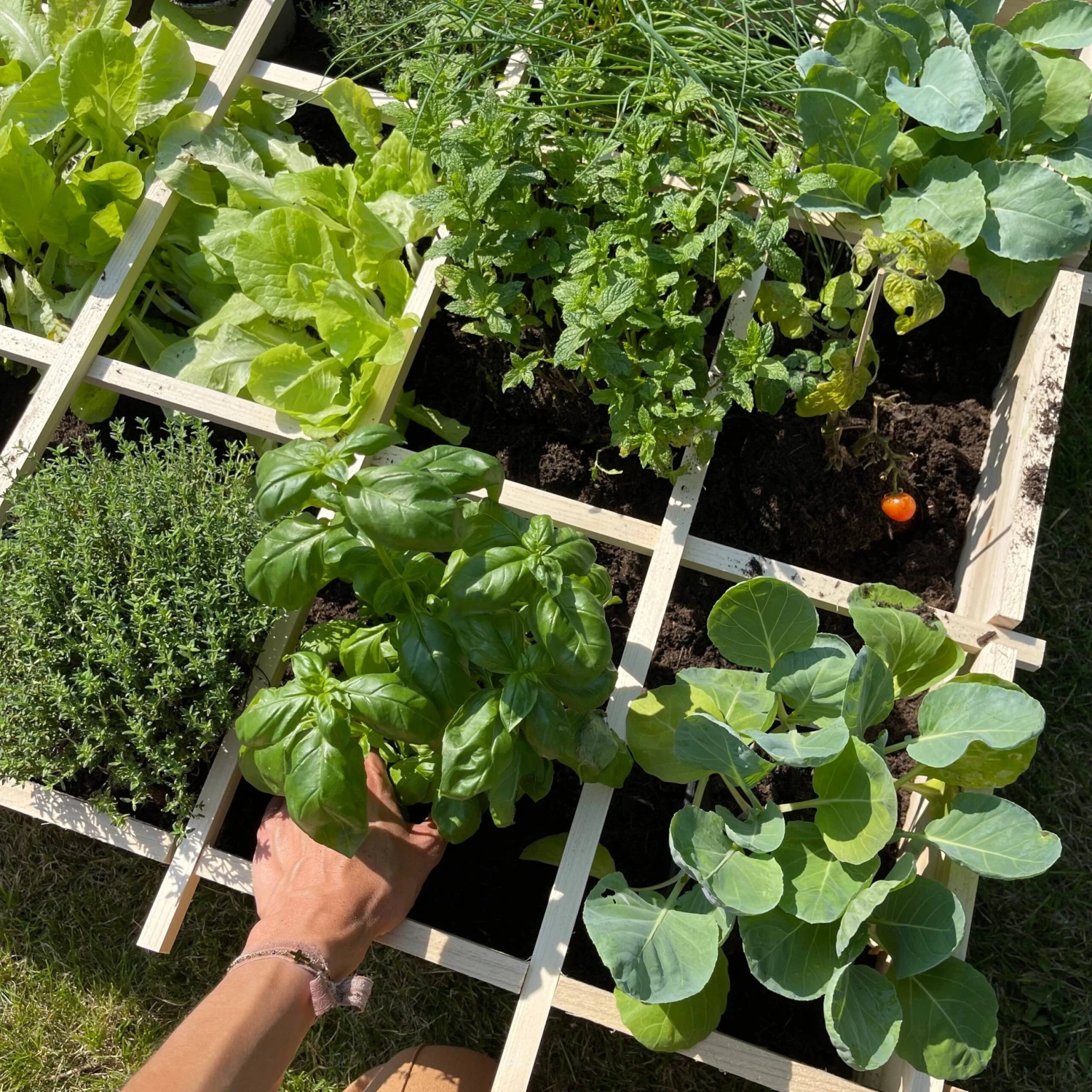 Carré Potager En Bois 90 X 90cm 4 Carré Potager En Bois 90 X 90cm – Image 4