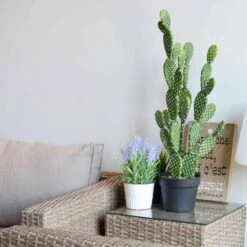Cactus Artificiel Intérieur 72cm -Mobilier de maison ap72cactus 07a597aae5f011376535328d5767d519